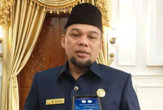 Bengkulu Perluas Areal Tanam Padi 