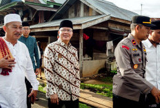 Idul Adha, Jumlah Hewan Kurban di Provinsi Bengkulu Capai 11.531 Ekor