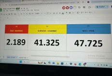 Pakar Hukum Tata Negara Prof. Juanda Sebut Korban Dugaan Kecurangan PSU Berhak Tempuh Jalur Hukum
