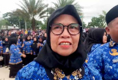 Baru Dilantik PPPK Paruh Waktu, Bayani Akan Pensiun 6 Januari