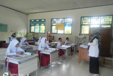 Butuh Pemasangan Paping Blok Dan Penyaluran MBG