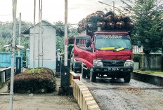 Harga TBS Sawit Turun Lagi, Rp2760 Per Kilogram