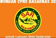 Basarnas Buka Rekrutmen CPNS, Ada 30 Kuota Untuk Bengkulu