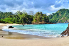 Pantai Teluk Hijau, Permata Tersembunyi di Ujung Timur Pulau Jawa