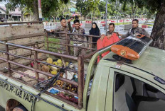 Bandel, Pedagang Buah di Alun-alun Kota Bintuhan Diangkut Satpol PP