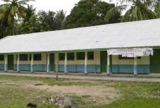 Dikbud Pastikan SDN 88 Kaur Ditutup Jika Tak Dapat Murid Tahun Ini