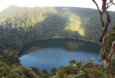 Fakta Menarik Danau Kumbang Di Provinsi Jambi, Danau di Atas Puncak Gunung Yang Mempesona