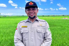 Pemprov Bengkulu Cetak Sawah 2.200 Hektar di Empat Kabupaten 