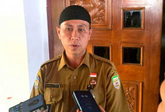 Pemprov Bengkulu Usulkan 4.471 Tenaga Honorer Jadi PPPK Paruh Waktu