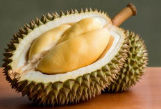 18 Jenis Makanan Dilarang Dikonsumsi Bersamaan Buah Durian, Dampaknya Fatal!