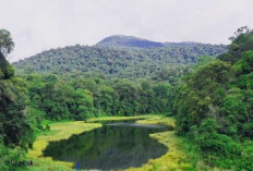 Taman Nasional Batang Gadis, Tempat Perlindungan Satwa Langka Hingg Destinasi Wisata Menarik