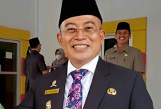 Pemkab Bengkulu Selatan Buka Peluang Kerja Sama Inovatif
