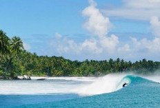 Pulau Sipora Sumatera Barat, Spot Surfing Terbaik di Indonesia Yang Sudah Diakui Wisatawan Dunia