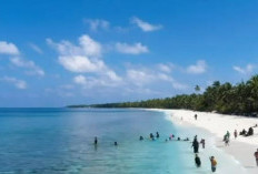 Pesona Pulau Pagang, Surganya Pecinta Snorkeling di Pesisir Selatan