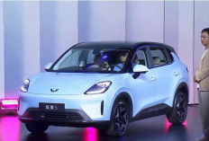 Persaingan Makin Panas! Mobil Listrik Canggih ini dibandrol Mulai Rp150 Jutaan, Siap Guncang Pasar EV