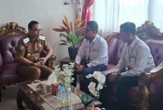 Bupati dan PLN Bahas Kelistrikan dan Optimalisasi Layanan di Seluma