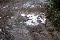 Jalan Sentral Produksi Di Padang Lakaran Butuh Perbaikan, Kondisi Saat Ini Mirip Kubangan Kerbau