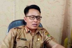 Peluang Perekrutan PPPK Guru Tahun 2026 Di Bengkulu Selatan Tipis