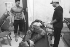 Pemuda di Bengkulu Selatan Tewas Usai Dibacok, Ada 14 Luka Tusukan