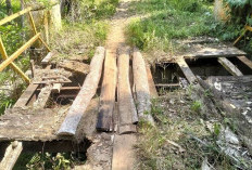 Jembatan Di Desa Parda Suka Kabupaten Kaur Rusak Berat