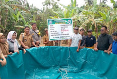 Kembangkan Ketahanan Pangan, Desa Muara Dua Buat 30 Unit Kolam Lele 
