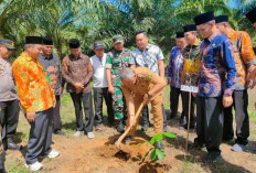 Jaga Kelestarian Lingkungan, Ajak Masyarakat Tanam Pohon