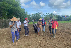 Gerakan Pangan Merah Putih, Polsek Kota Manna Buat Lahan Produktif dan Berikan Bantuan Benih ke Petani