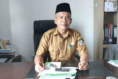 Pajak Hiburan di Seluma Hanya Ditarget Rp 6 Juta
