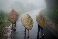 Desa Paling Basah Di Dunia, Setiap Hari Turun Hujan, Matahari Sering Tak Muncul Berminggu minggu