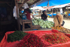 Awal Tahun, Harga Cabai di Pasar Tradisional Bengkulu Selatan Semakin Mahal