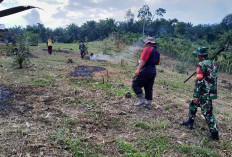 Satgas TMMD Ke-124 Kodim 0408 Bengkulu Selatan - Kaur Buka Lahan Tidur Menjadi Lahan Produktif