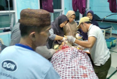 Tabrak Pohon Kapuk, Kades Kedataran Tutup Meninggal, 2 Kades Lainnya Cidera