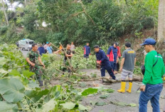 Tak Hanya Menjaga Wilayah, Babinsa 408-05/Manna Juga Aktif Gotong Royong Bersihkan Pohon Yang Mengganggu Badan