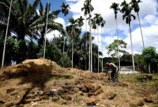 Candi Simangambat Di Mandailing Natal, Candi Abad ke-8 Yang Terlupakan