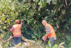 Akses Manna-Pagaralam Sempat Lumpuh Empat Jam