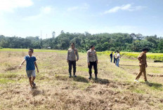 Harimau Tampakan Belang, Polsek Imbau Masyarakat Waspada