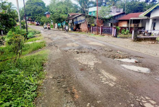 Warga Berharap Jalan Desa Sidoluhur Segera Diperbaiki