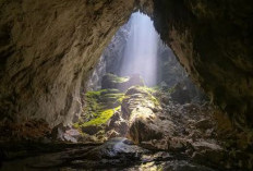 Gua Terbesar dan Teraneh di Dunia yang Penuh Misteri, Salah Satunya ada di Indonesia