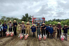 Tanam Jagung Serentak, Polres Dukung Program Ketahanan Pangan