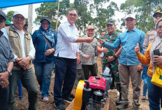Wujudkan Ketahanan Pangan, Kementan RI Lakukan Gertam Padi Gogo di Bengkulu Selatan
