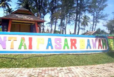 Bupati Bengkulu Selatan Bakal Gandeng Investor Asing Untuk Benahi Kawasan Pesisir