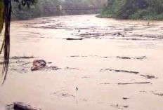 Hujan Turun, Debit Sungai Air Pino Naik, Warga Mulai Waspada