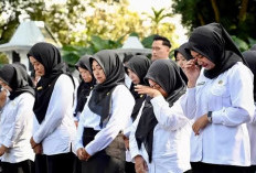 Nasib Honorer R2/R3 Masih Menggantung, Aliansi Layangkan Surat ke DPR
