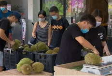 China Ancam Dominasi Durian Asia Tenggara, Harga Lebih Murah, Thailand dan Vietnam Cemas