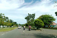 Jangan Rusak Tanaman Median Jalan, Jika Dirusak Sanksi Menunggu!