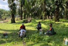 Anggota Sagas TMMD Ke-124 Akrab Bersenda Gurau dengan Masyarakat Saat Istirahat di Kebun Sawit    