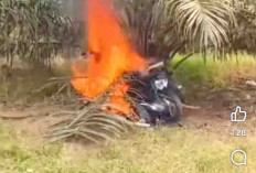 Video Motor Pencuri Sawit Dibakar Hebohkan Warga Bengkulu Selatan 