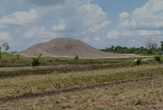 Air Sawah Mendidih, Gunung Munculan di Indonesia, Pertanda Apakah Ini?