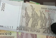Jenis Nomor Seri Uang yang Paling Diburu Kolektor, Jangan Keburu Dibelanjakan! Cek Sekarang