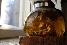 Manfaat Teh Oolong dan Khasiatnya untuk Kesehatan